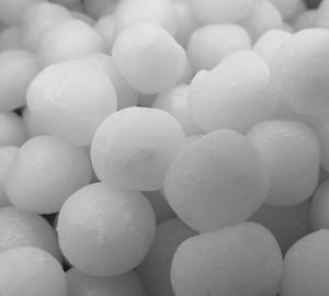 Rasgulla