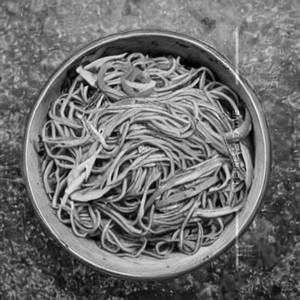 Soba Noodle Bowl