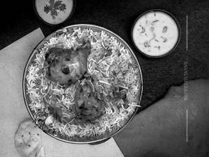 Chicken Tikka Biryani