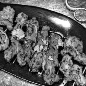 Chicken afgani tandoori [f]