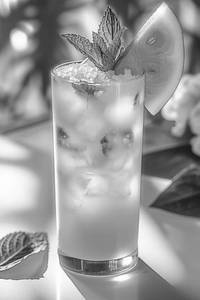 Watermelon Mojito 