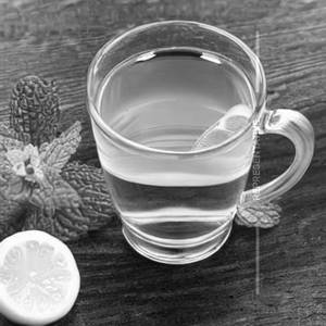 Lemon Mint Tea