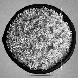Bowl of Rice