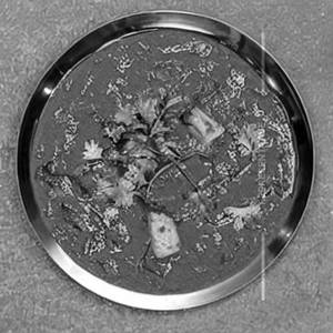 Squid Koliwada