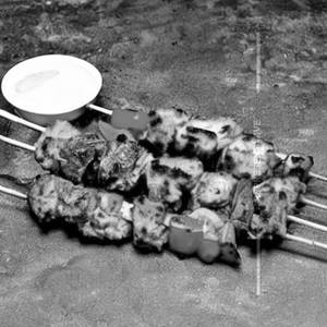 Murgh Adraki Kabab