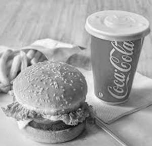 1 Burgerr + 1 Friess + 1 Coke Can    
