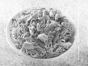 Chicken Noodles