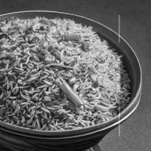 Chi Hongkong Rice