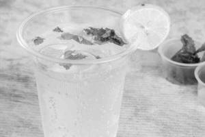 Mint Mojito