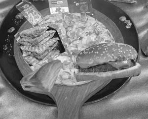 Pizza+burger+sandwich+patties