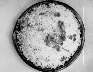 Steam Rice