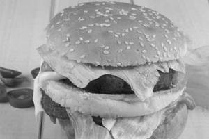 Single Cheese Burger