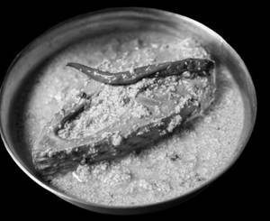 Shorshe Hilsa