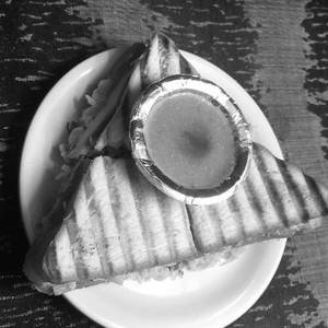 Veg Cheese Grill Sandwich