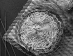 Chilli Garlic Noodles