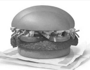 Mexican Burger