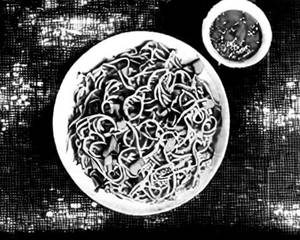 Veg Schezwan Hakka Noodles