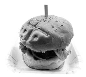 Cheese burger