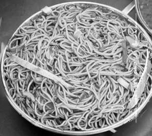 Veg Jain Noodles