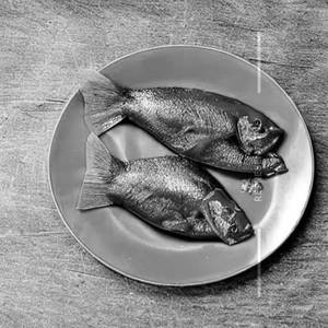 Pomfret Fry