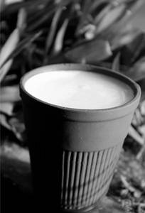 Kullahad Lassi (very Very Famous)