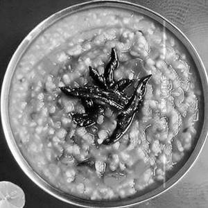 Dal Khichdi Tadka