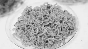 Plain Maggi