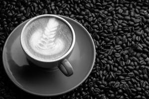 Cafe Latte