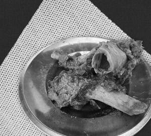 Beef bone