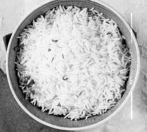 Steam Rice 