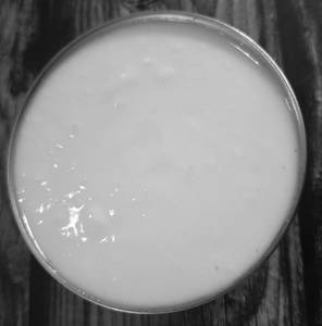 Dahi Vati (big)