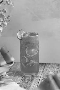 Watermelon Mojito