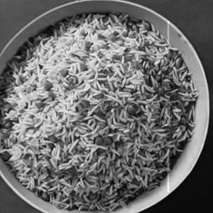 Veg Rice