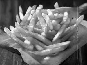 Frenchfries                                                              