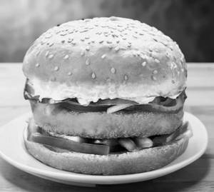 Hungry Bird Burger