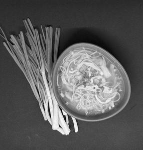 Chicken Noodle Soup