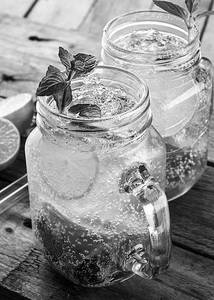 Classic Mojito