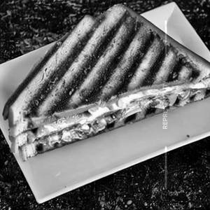 Spicy Treat Grilled Sandwich