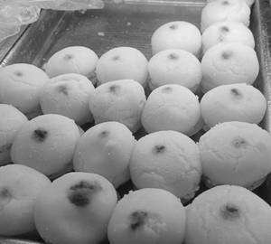 Malai Chop