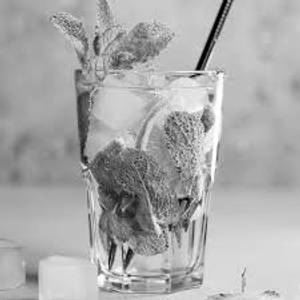 Virgin mojito