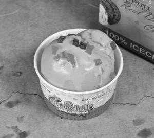Tutti Frutti  Family Pack Icecream