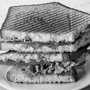 Vegetable Sandwich
