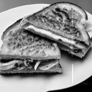 Cheese Garlic Grilled Sandwich