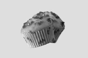 Fruit Muffin