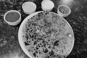 Aloo Paratha