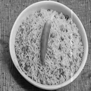 Veg Triple Rice