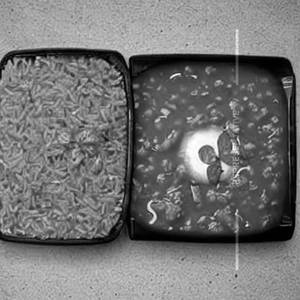 Tomato Rice 