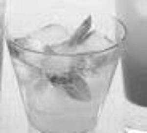 Plain Iced Tea           