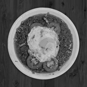 Butter Egg Half Fry Masala [Half]