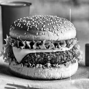 Vegetable Spicy Burger
